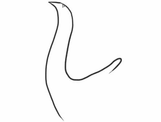 怎么画孔雀简笔画步骤教程