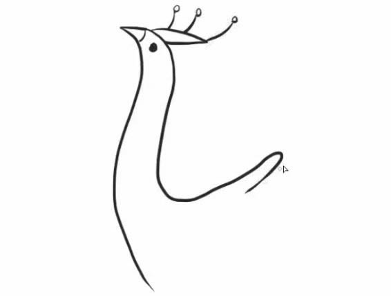 怎么画孔雀简笔画步骤教程