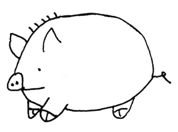 可爱的大肥猪简笔画画法图片