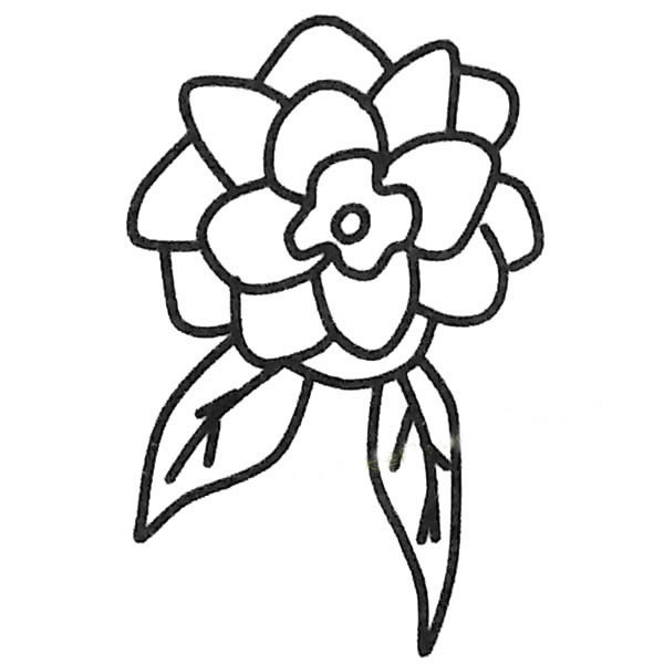 儿童简笔画大全 茶花简笔画图片大全
