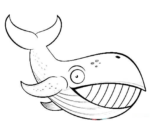 微笑的鲸鱼简笔画图片
