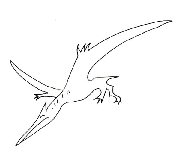 翼龙简笔画图片