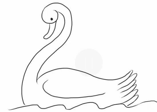 水中的白天鹅简笔画步骤图解