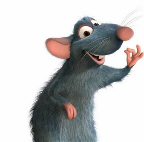 小老鼠衍生小知识