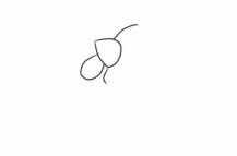 /jianbihua/dongwujianbi/24120.html