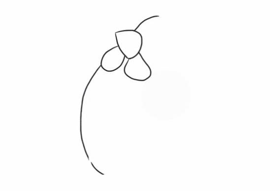 母鸡简笔画图片 母鸡简笔画怎么画