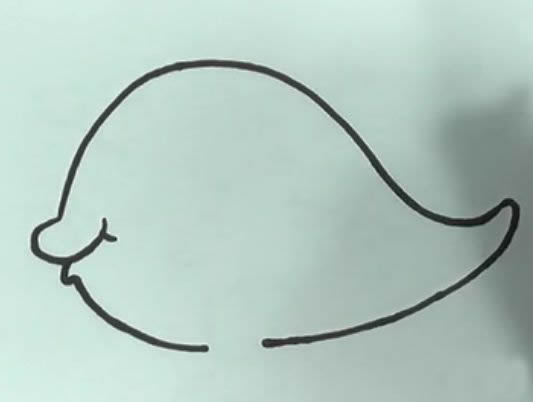 可爱小金鱼简笔画彩色图片