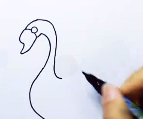 天鹅简笔画图解步骤