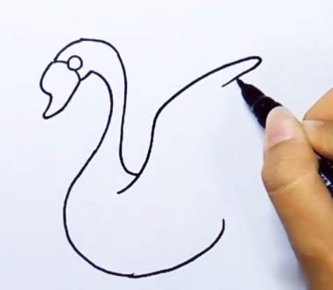 天鹅简笔画图解步骤