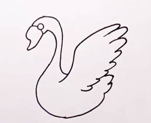 天鹅简笔画图解步骤