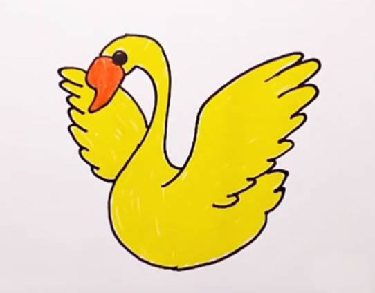 天鹅简笔画图解步骤