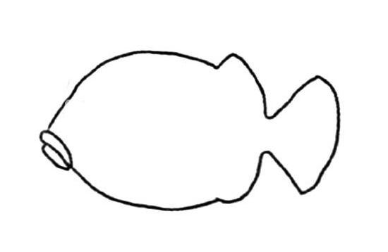 简单的小丑鱼简笔画的画法步骤图