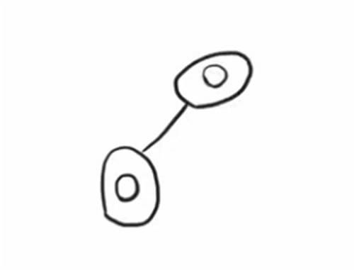 知了简笔画的画法步骤图片