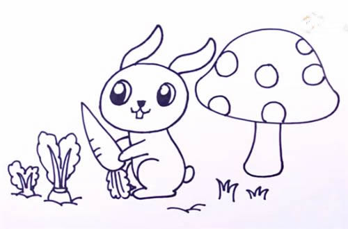 偷萝卜的兔子简笔画步骤教程