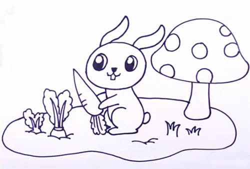 偷萝卜的兔子简笔画步骤教程