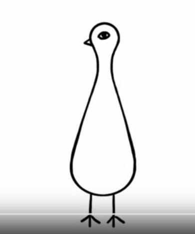 孔雀开屏带颜色简笔画 教你画美丽的孔雀简笔画步骤图片教程