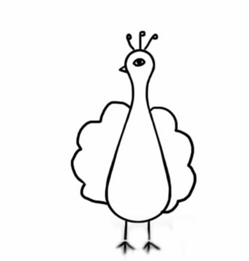 孔雀开屏带颜色简笔画 教你画美丽的孔雀简笔画步骤图片教程