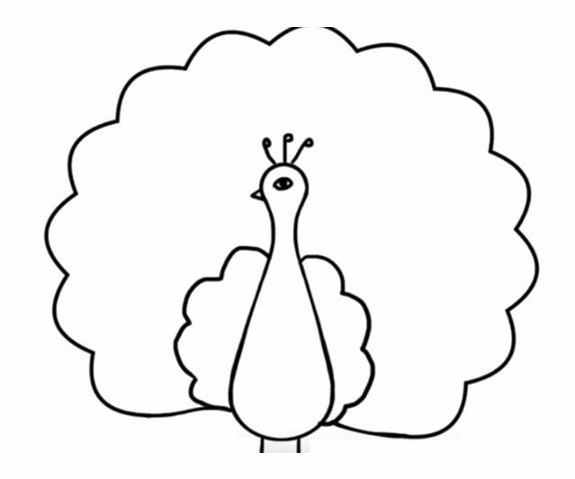 孔雀开屏带颜色简笔画 教你画美丽的孔雀简笔画步骤图片教程