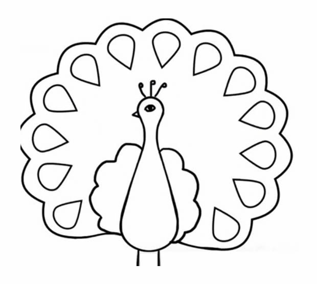 孔雀开屏带颜色简笔画 教你画美丽的孔雀简笔画步骤图片教程