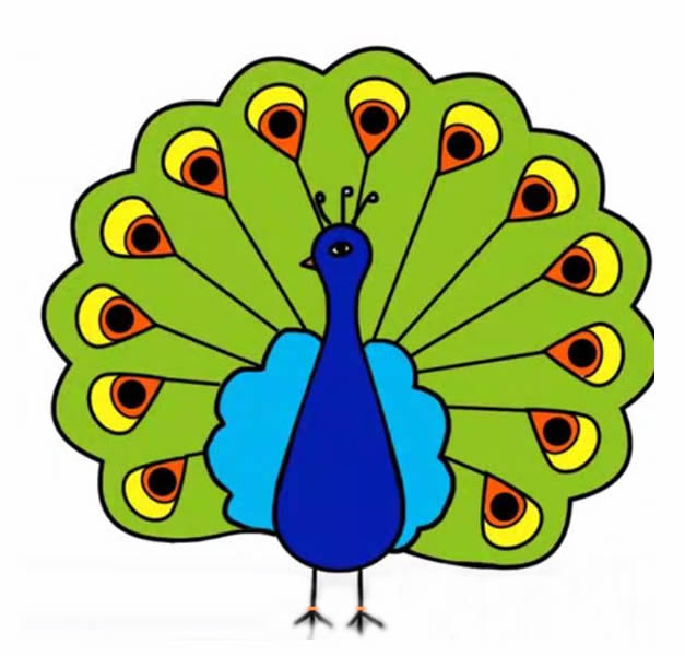 孔雀开屏带颜色简笔画 教你画美丽的孔雀简笔画步骤图片教程
