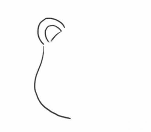 怎样画可爱的狮子简笔画图片