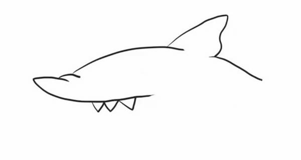 简笔画鲨鱼的画法步骤图