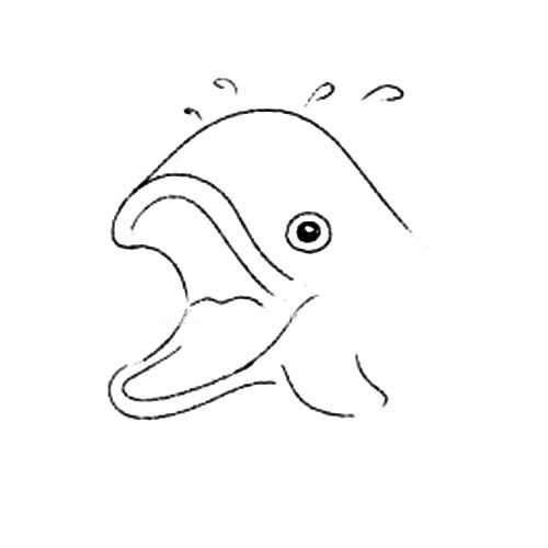 鲸鱼简笔画步骤图片