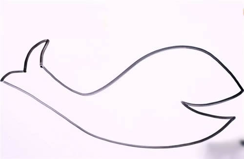 淡水鱼简笔画