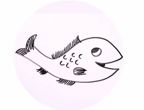 淡水鱼简笔画