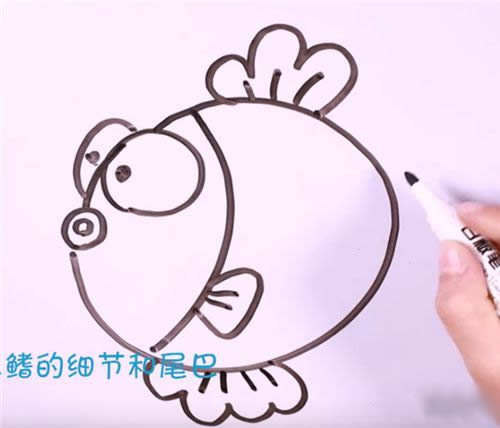 简笔画金鱼的画法步骤图解教程 手把手教你画金鱼