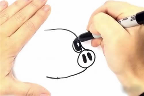 可爱小猪简笔画步骤图