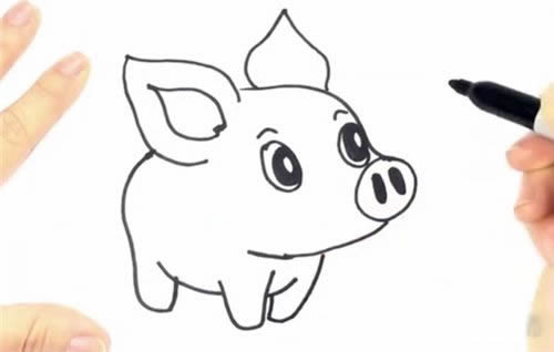 可爱小猪简笔画步骤图