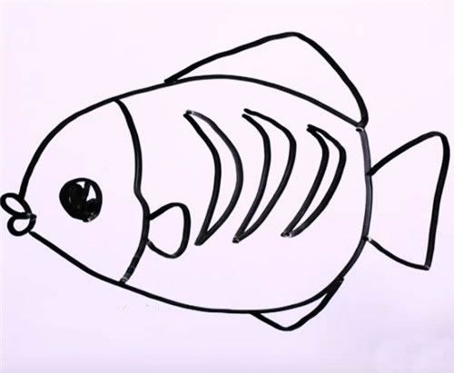 怎么画一条花斑鱼 花斑鱼的简笔画图解步骤
