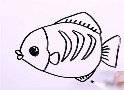 怎么画一条花斑鱼 花斑鱼的简笔画图解步骤
