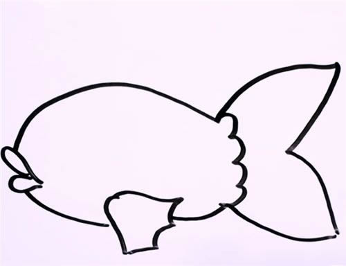 金鱼图片简笔画