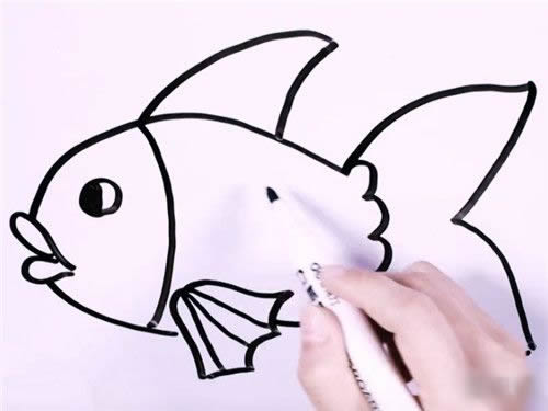 金鱼图片简笔画