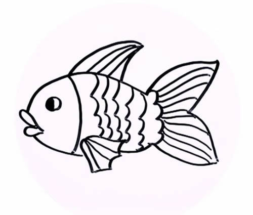 金鱼图片简笔画