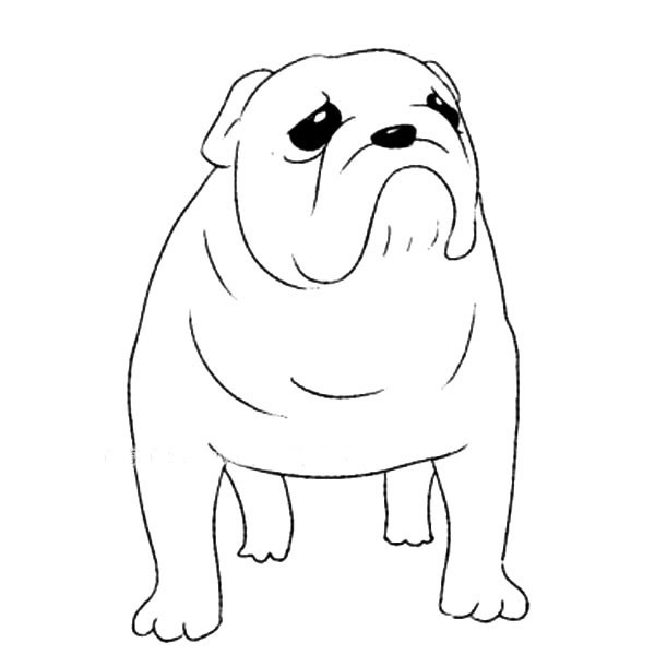 斗牛犬简笔画图片