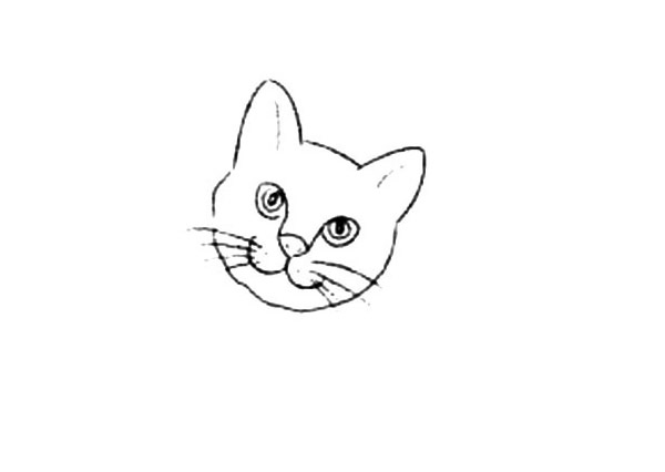 小猫的简笔画画法步骤