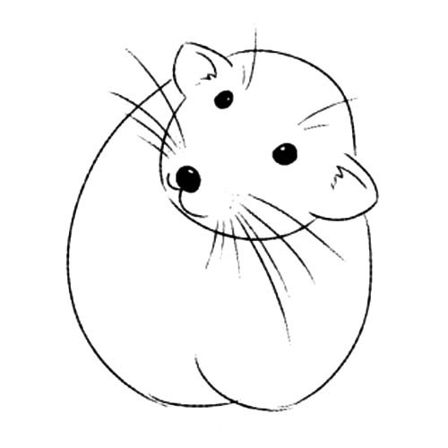 爱偷吃的老鼠简笔画步骤图