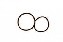 /jianbihua/dongwujianbi/23729.html