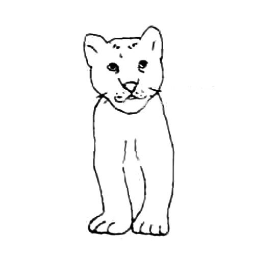 可爱的小狮子简笔画