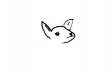 /jianbihua/dongwujianbi/23476.html