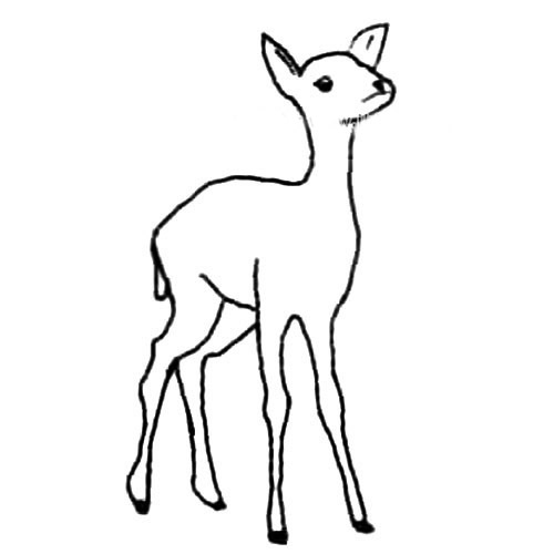 可爱动物麋鹿简笔画