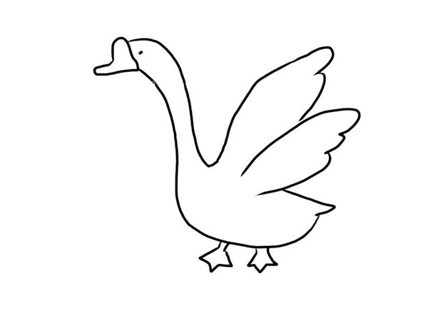大白鹅简笔画图片