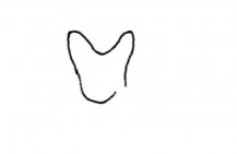 /jianbihua/dongwujianbi/23687.html