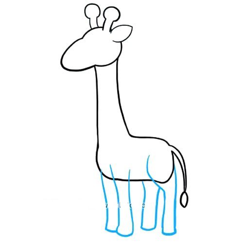 长颈鹿怎么画步骤图