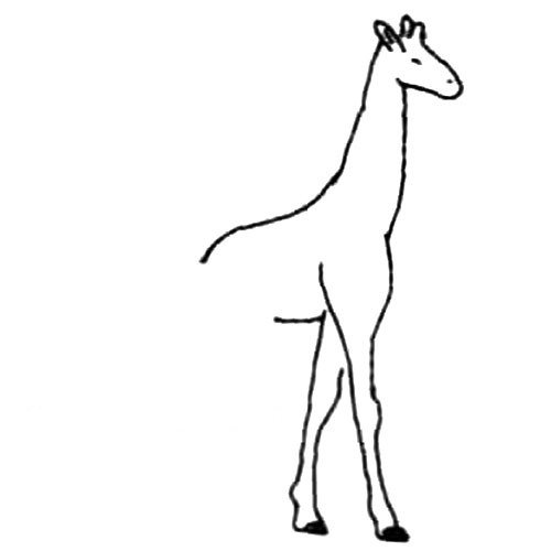 长颈鹿的画法步骤图