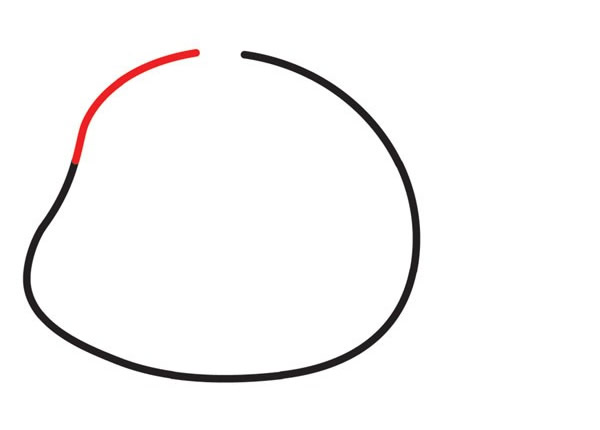 可爱的大熊猫简笔画步骤3