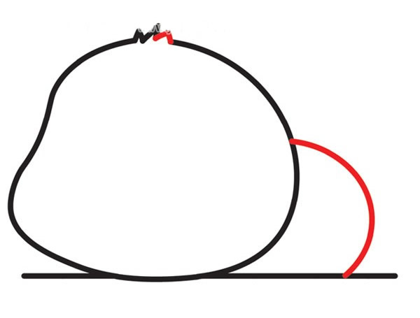 可爱的大熊猫简笔画步骤5